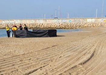 Znaleźli zwłoki dziecka bez głowy. Wyrzuciło je morze