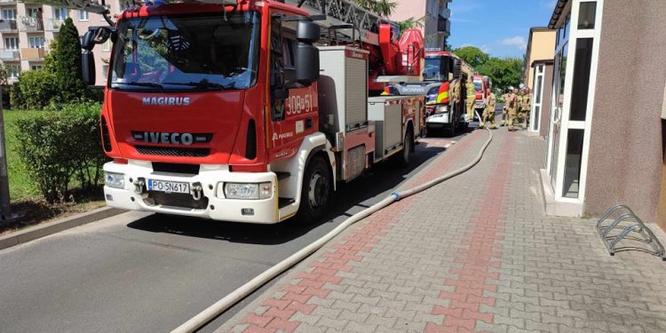 Kuchennych Rewolucji