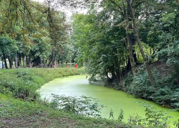 Makabryczne odkrycie w parku. Zwłoki dryfowały w fosie