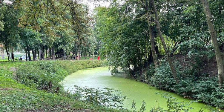 Makabryczne odkrycie w parku. Zwłoki dryfowały w fosie