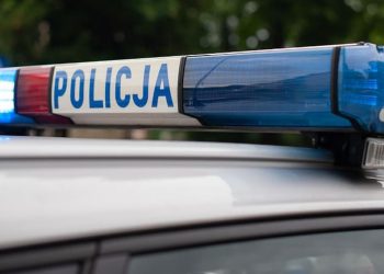 policja