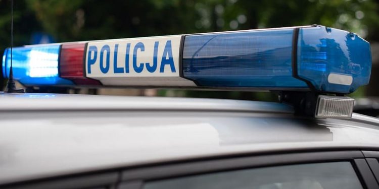 policja
