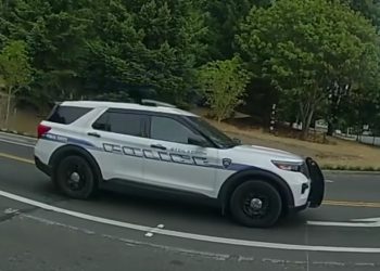 Policjant udawał… psa. Okazało się to skuteczne i złapał przestępców [WIDEO]