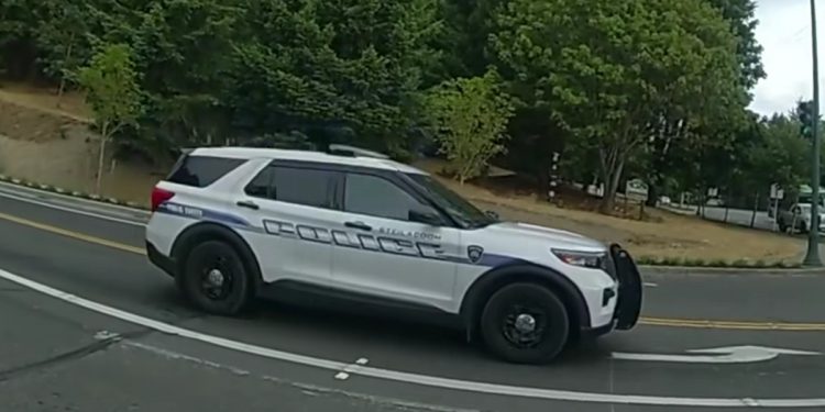 Policjant udawał… psa. Okazało się to skuteczne i złapał przestępców [WIDEO]