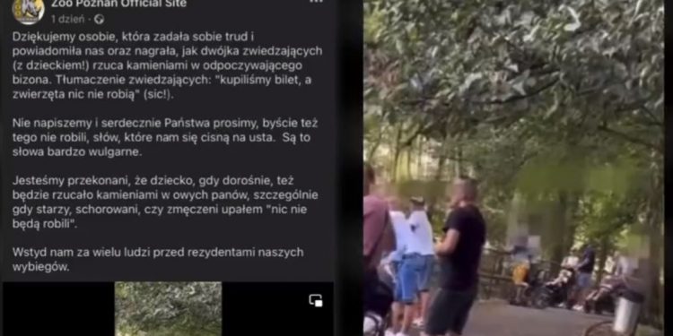 Niewyobrażalne zdarzenie w poznańskim ZOO. Przyłapani na gorącym uczynku [WIDEO]