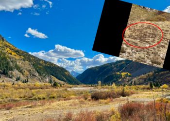 Wielka Stopa jednak istnieje?! Pojawił się mocny dowód [WIDEO]