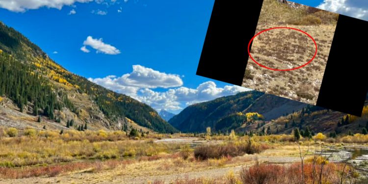 Wielka Stopa jednak istnieje?! Pojawił się mocny dowód [WIDEO]