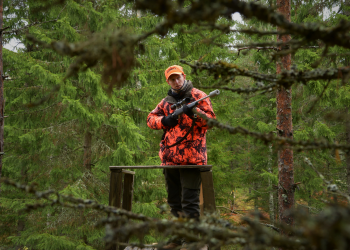 Dlaczego Polska potrzebuje gospodarki łowieckiej?
