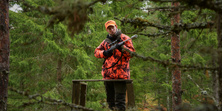 Dlaczego Polska potrzebuje gospodarki łowieckiej?