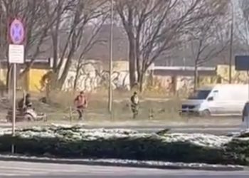 Kosili trawę pomimo śniegu. Kuriozalne sceny w Poznaniu [WIDEO]