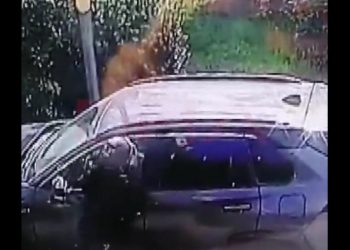 Okradli Ukraińca. Po chwili obydwaj już nie żyli. Wszystko się nagrało [WIDEO]