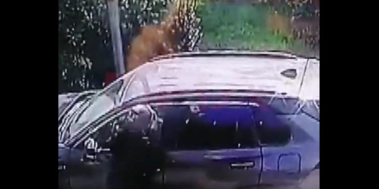 Okradli Ukraińca. Po chwili obydwaj już nie żyli. Wszystko się nagrało [WIDEO]