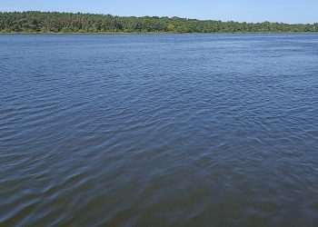 Tragiczny finał poszukiwań nastolatki. Wyłowiono zwłoki