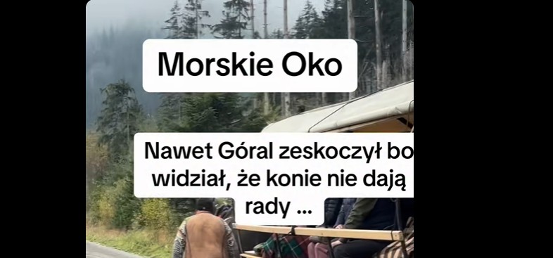 Nagranie z drogi nad Morskie Oko wywołało burzę! „Nawet góral zeskoczył”