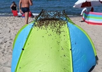 Niecodzienne zjawisko na plaży w Jastarni. Natychmiast zadzwonili po służby