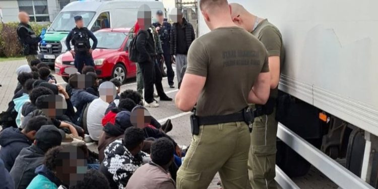 35 imigrantów ukrytych w chłodni. Straż Graniczna zatrzymała ciężarówkę na A2