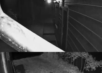 Nagrano dźwięk obiektu przelatującego nad Polską? W sieci krąży film [WIDEO]
