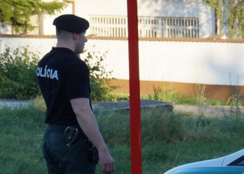 Sąsiad Polski reaguje na ataki w szkołach w Polsce. Ruch policji