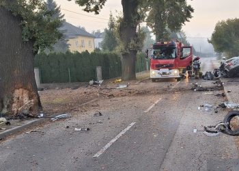 Tragiczny wypadek. Auto rozpadło się na kawałki. Kierowca bez szans