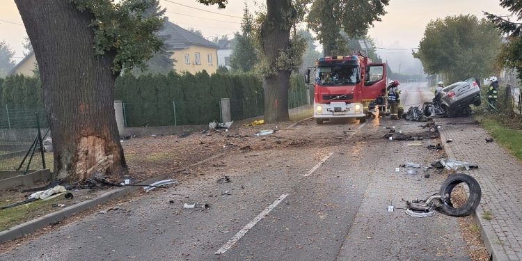 Tragiczny wypadek. Auto rozpadło się na kawałki. Kierowca bez szans